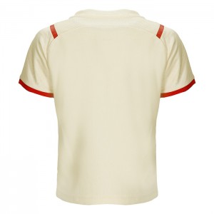 AC Milan Soccer Jersey Away Replica 2021/22