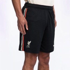 Liverpool Soccer Jersey Away Short Replica 2021/2022